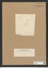 Diatomeae indet. Zeichnungen Sammlung Grunow Nr. 7594 (NHMW-BOT-W0376757)